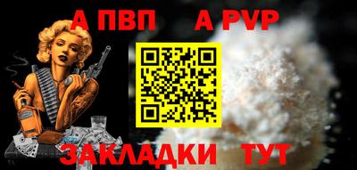шишки Обь