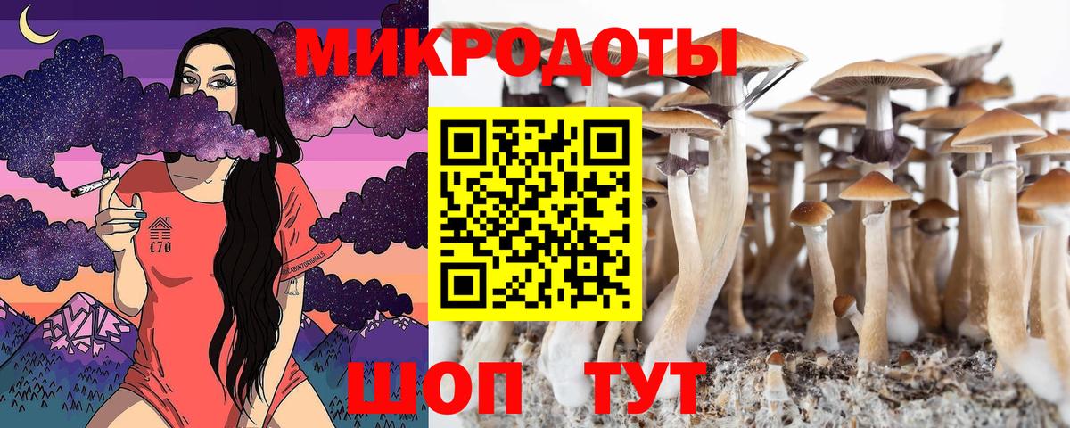 Псилоцибиновые грибы GOLDEN TEACHER Стрежевой