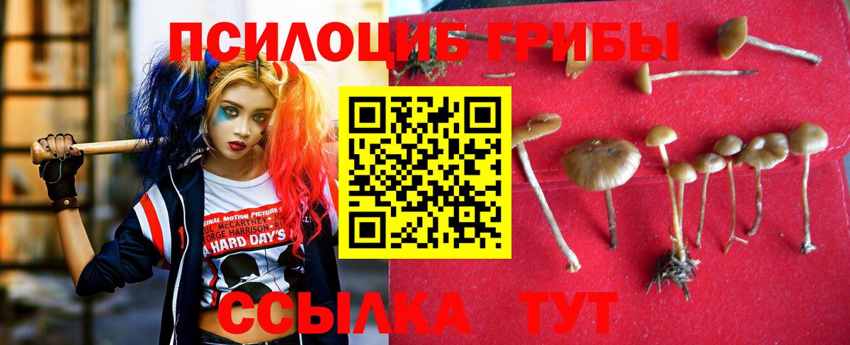Галлюциногенные грибы Magic Shrooms  Вход с VPN  Псилоцибиновые грибы Magic Shrooms  Стрежевой 